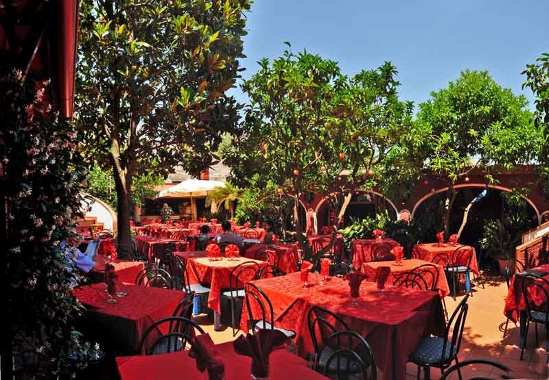 ischia_giardino_aranci_75