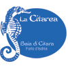 logo La Citarea